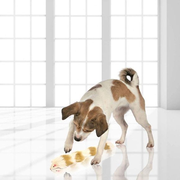 Iconic Pet Set of 2 Fur Weasel Toy with Squeaker for Pets, Best Pet Play Toy - Picture 4 of 8